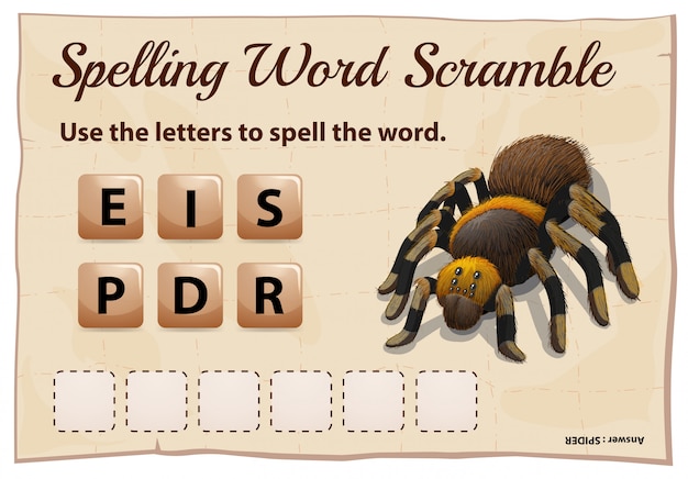 Spelling word scrable game with word spider