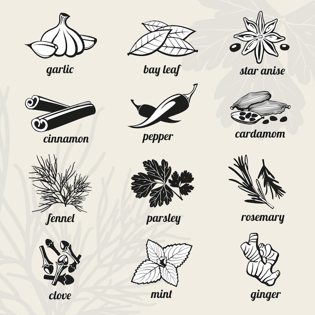 Free vector spice black elements set.