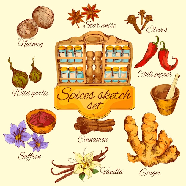 Free Vector spices sketch colored