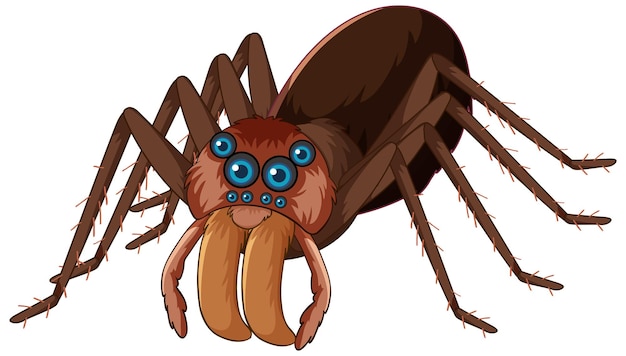 A spider cartoon character isolated