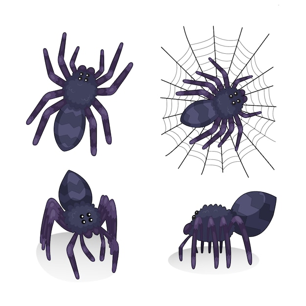 Free Vector spider illustration collection