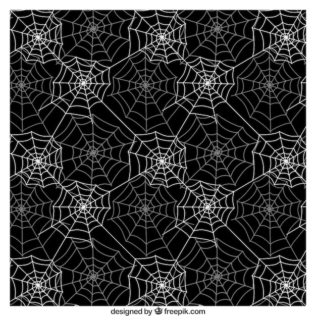 Spider web pattern in black and white colors