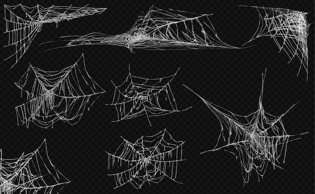 Free Vector spider webs shapes collection