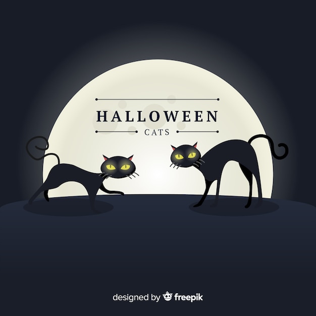 Spooky halloween cats with flat design