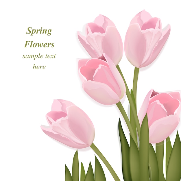 Spring background design