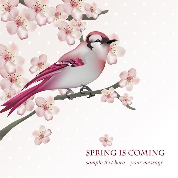 Spring background design