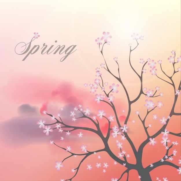 Spring background, tree with flowers