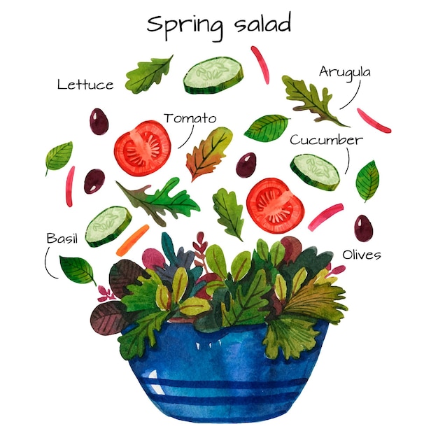 Free Vector spring delicious salad watercolour recipe