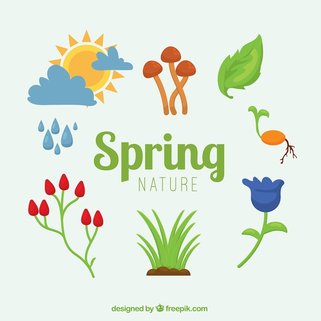 Free Vector spring element collection