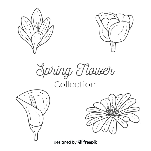 Spring floral collection