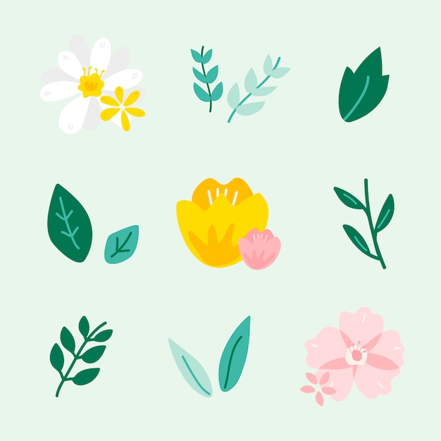 Spring floral illustration collection