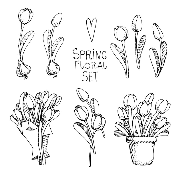 Free vector spring floral set