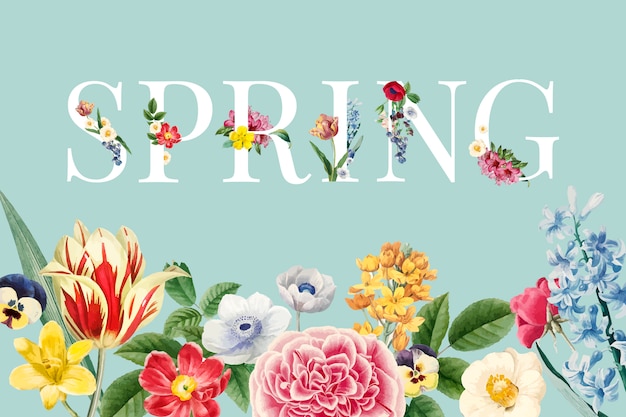 Free Vector spring floral vector