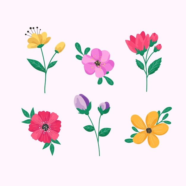 Spring flower collection in flat design