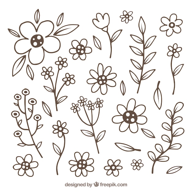 Spring flower collection in hand drawn style