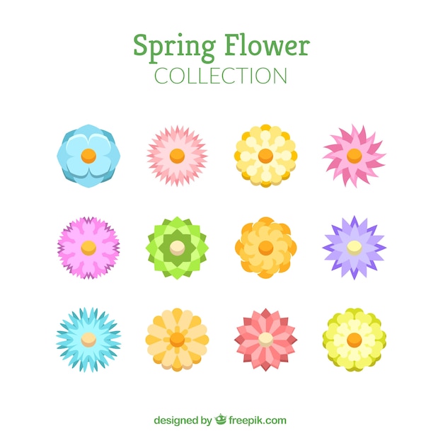 Free Vector spring flower collection