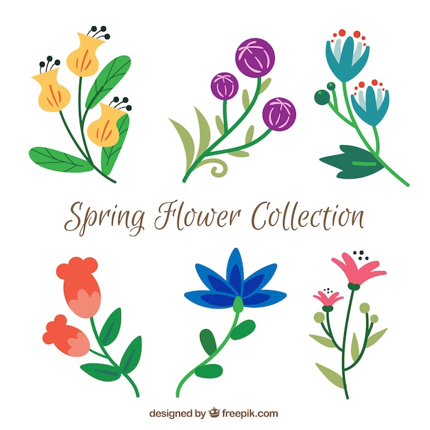 Spring flower collection