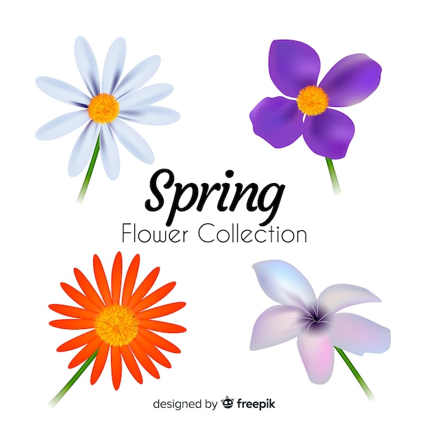 Free Vector spring flower collection