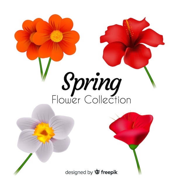 Spring flower collection