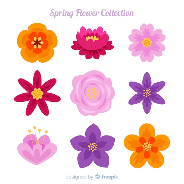 Spring flower collection