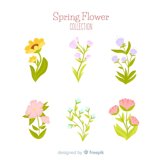 Spring flower collection