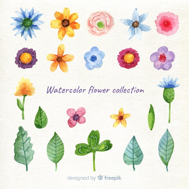 Spring flower collection