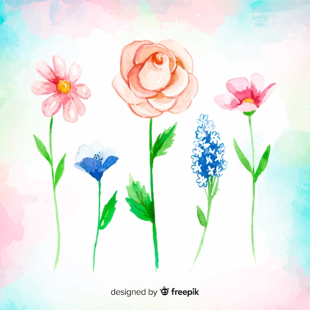 Free Vector spring flower collection