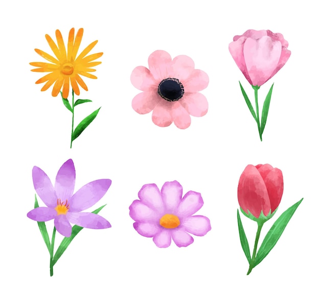 Free vector spring flower collection