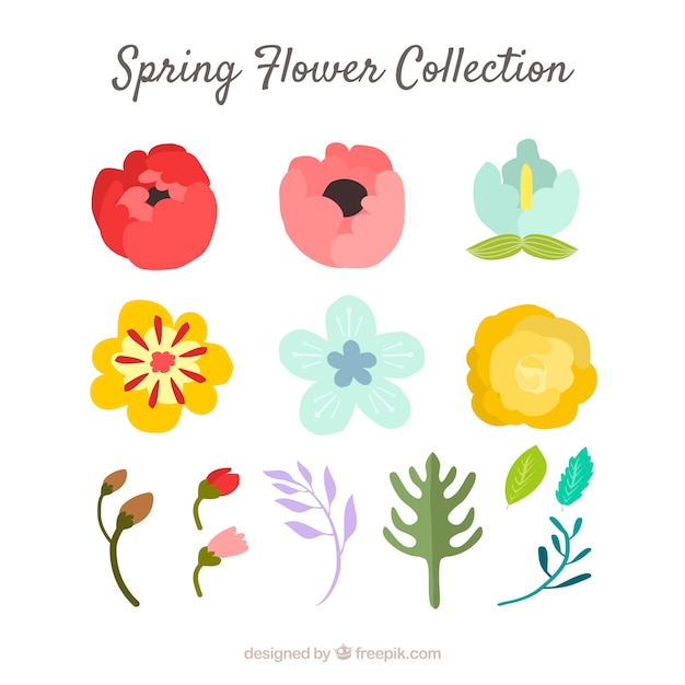 Free Vector spring flowers collection in flat style