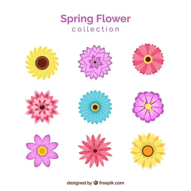 Spring flowers collection in flat style