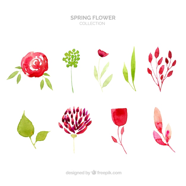 Spring flowers collection in watercolor style