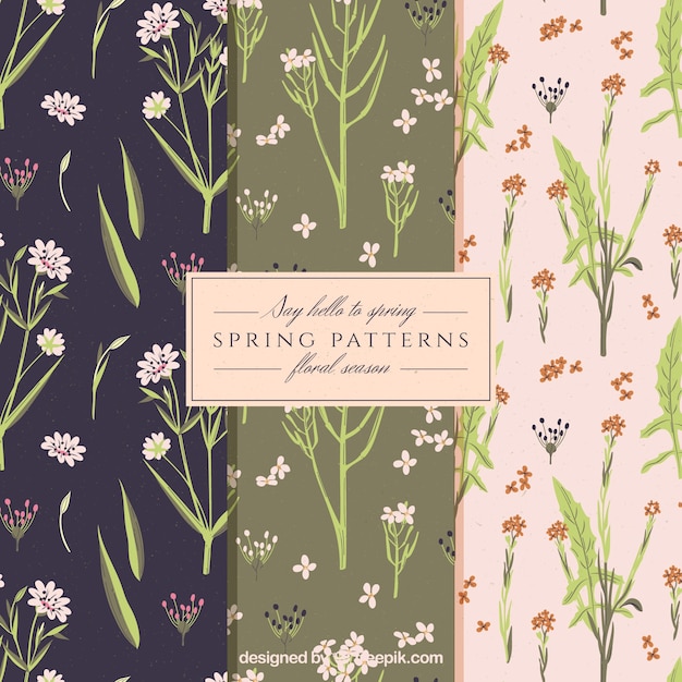 Free Vector spring patterns in vintage style