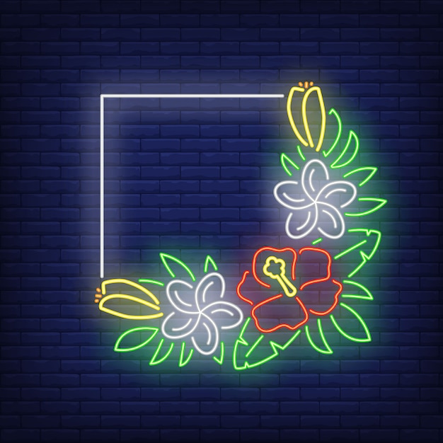 Square frame with hibiscuses neon sign. Bunch of tropical flowers with green leaves. 