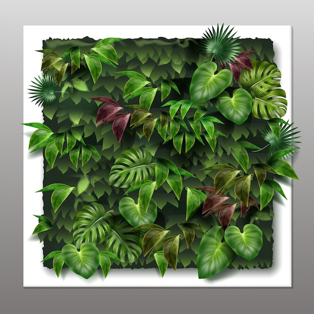 square vertical garden or green wall with tropical green leaves