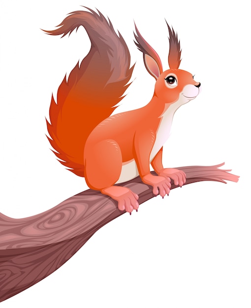 Free vector squirrel on branch