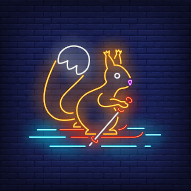 Free vector squirrel skiing on snow in neon style