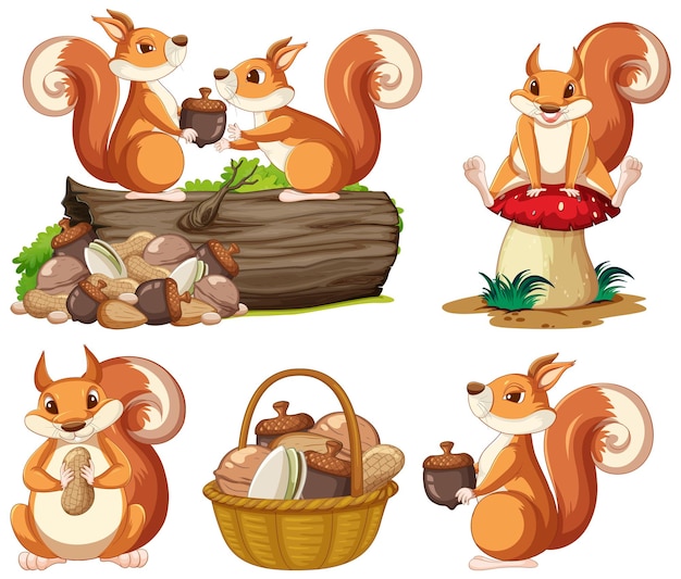 Squirrels in different action