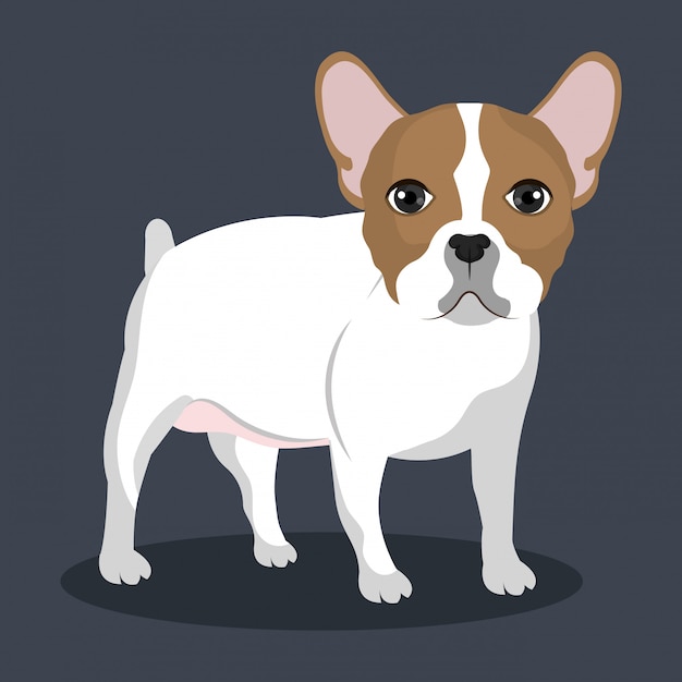 Free Vector standing bulldog illustration