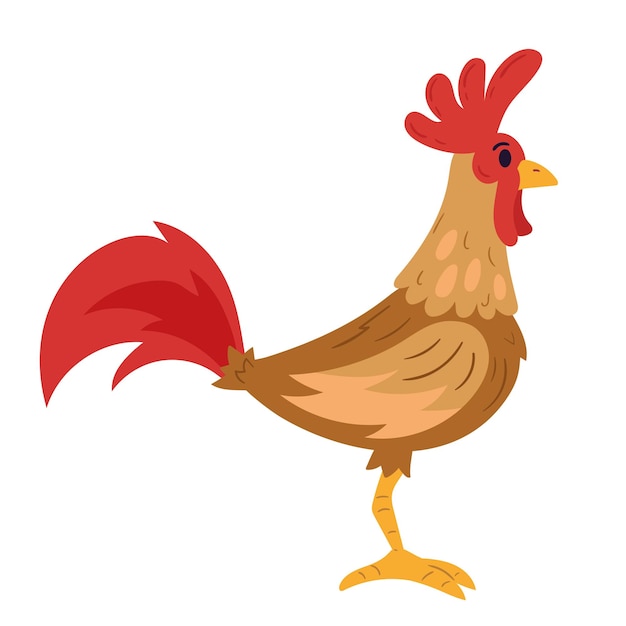 Free vector standing rooster farm animal