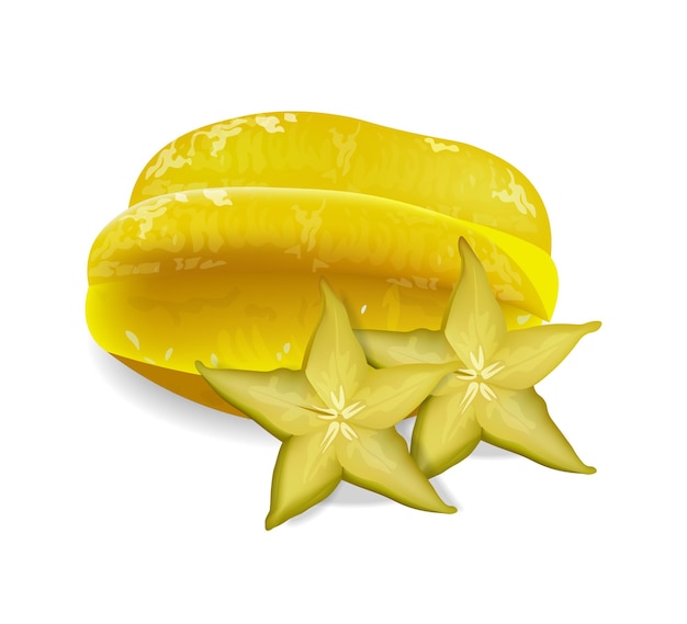 Free Vector starfruit isolated vector realistic exotic carambola fruit sliced