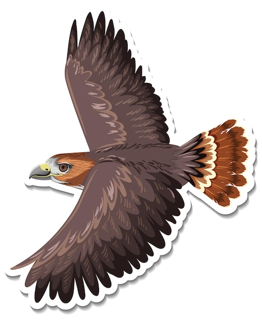 A sticker template of hawk cartoon character