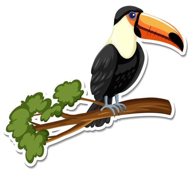 A sticker template of toucan cartoon character