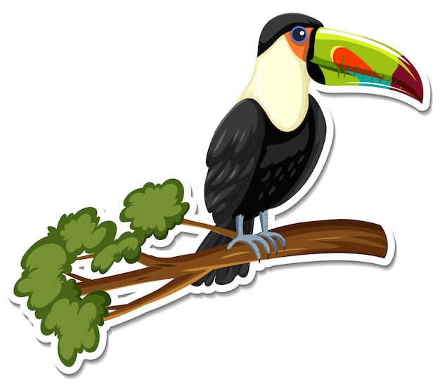 A sticker template of toucan cartoon character