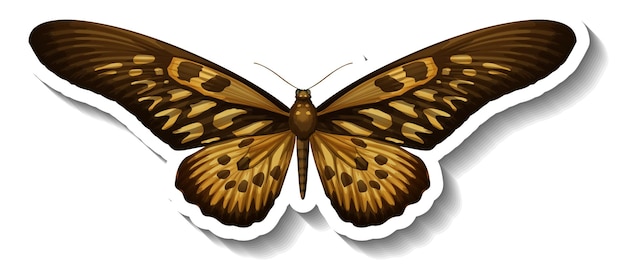 A sticker template with butterfly or moth isolated