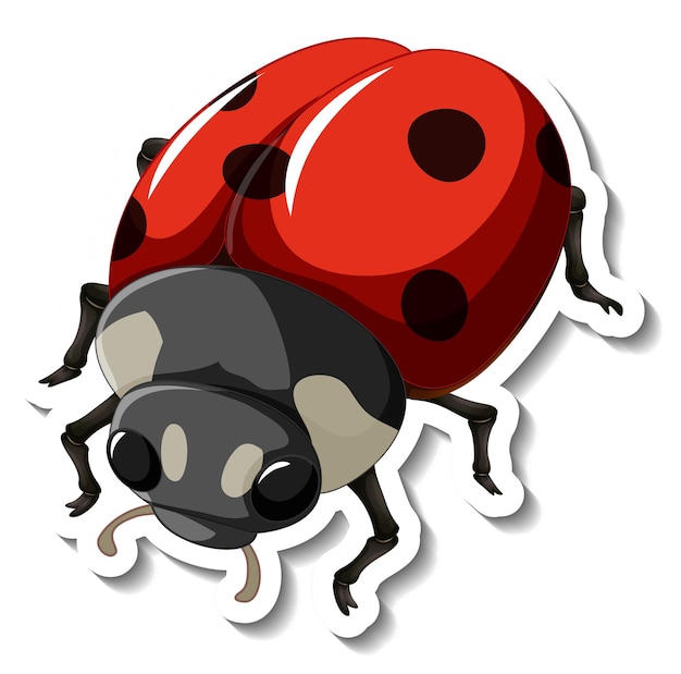 Free Vector a sticker template with a red ladybug isolated