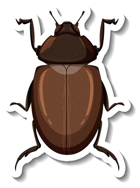 A sticker template with top view of a beetle isolated