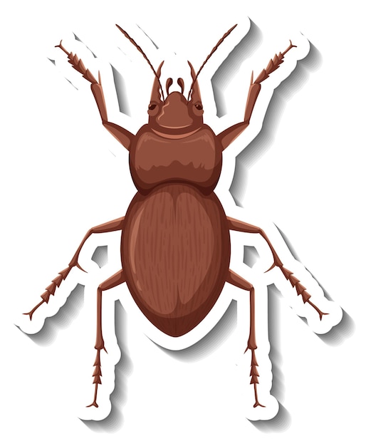 A sticker template with top view of a beetle isolated