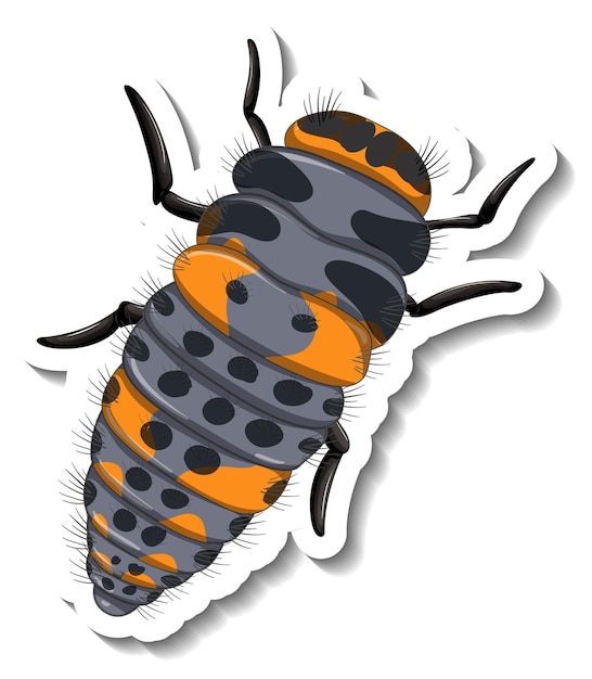 Free Vector a sticker template with top view of a caterpillar isolated