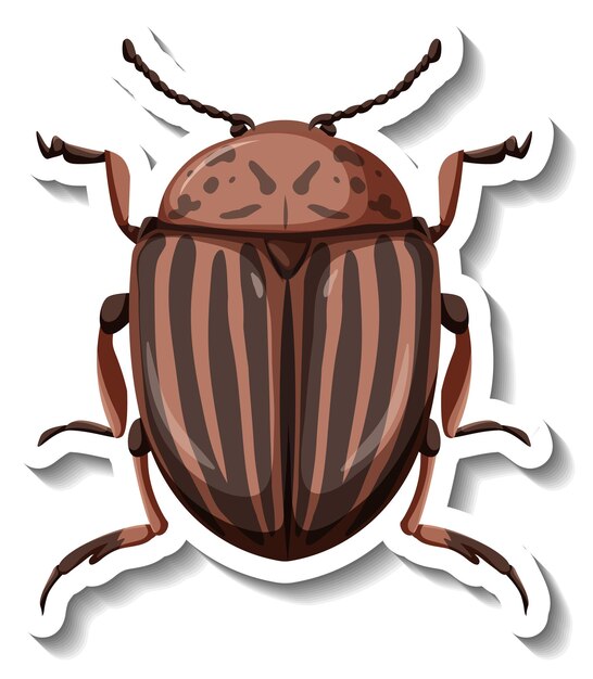 A sticker template with top view of colorado potato beetle isolated