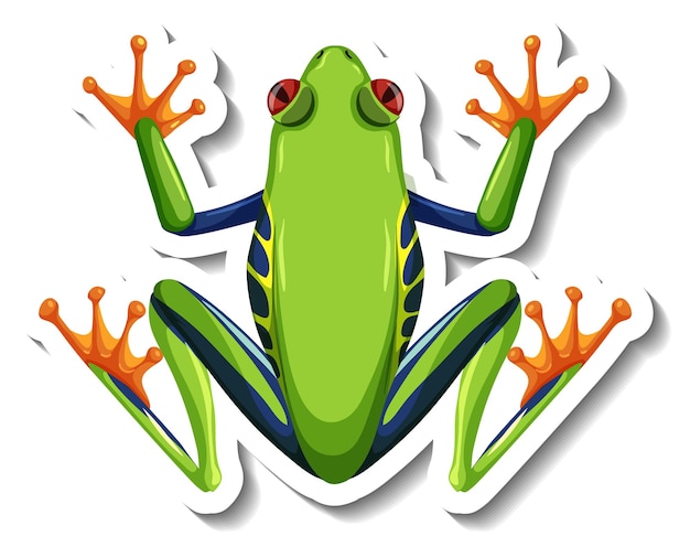 A sticker template with top view of green frog isolated